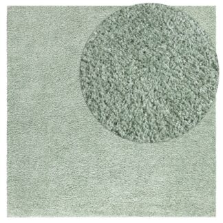 Grön mjuk ryamatta med tjock fluffig textur i hemtrevlig miljö