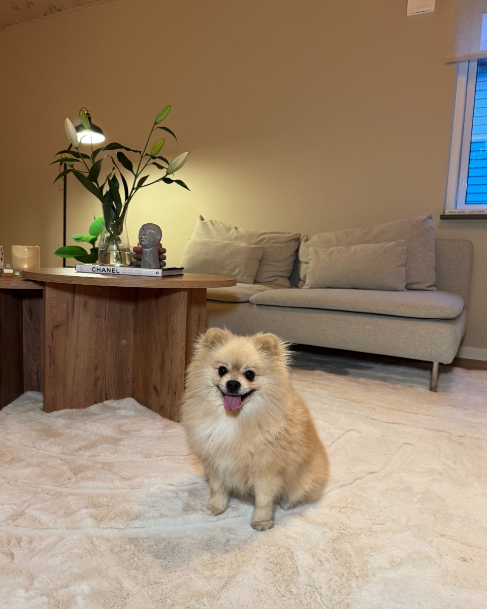 Pälsmatta Rabbit Soho Ljusbeige - Image 3